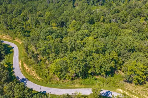 lot31 Freestone St, Talking Rock, GA 30175 photo 9
