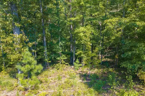 lot31 Freestone St, Talking Rock, GA 30175 photo 7