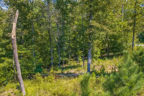 lot31 Freestone St, Talking Rock, GA 30175 photo 14