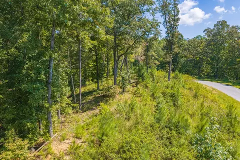 lot31 Freestone St, Talking Rock, GA 30175 photo 13