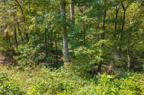 lot31 Freestone St, Talking Rock, GA 30175 photo 3