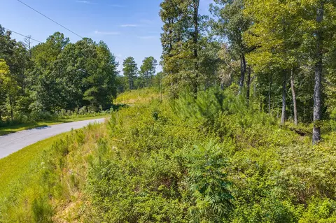 lot31 Freestone St, Talking Rock, GA 30175 photo 4