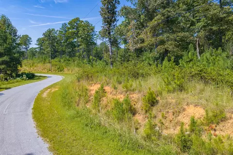 lot31 Freestone St, Talking Rock, GA 30175 photo 5