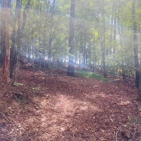 1005 Cliff Raper Rd, Murphy, NC 28906 photo 12
