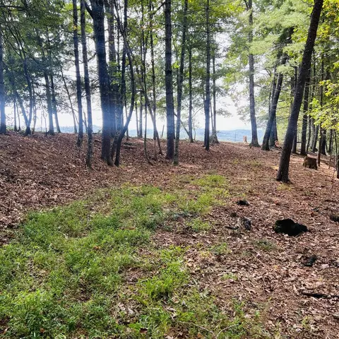 1005 Cliff Raper Rd, Murphy, NC 28906 photo 8