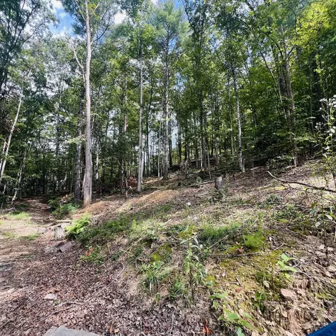 1005 Cliff Raper Rd, Murphy, NC 28906 photo 22
