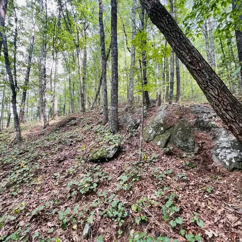 1005 Cliff Raper Rd, Murphy, NC 28906 photo 18