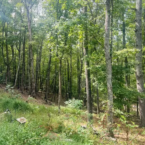 1005 Cliff Raper Rd, Murphy, NC 28906 photo 15