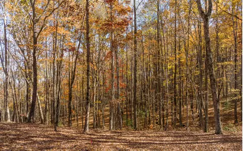 lot17 R Tanager Trl, Ellijay, GA 30536