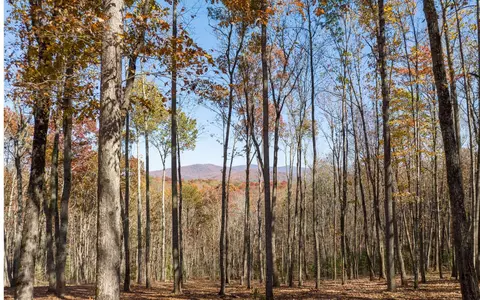 19 Settlement Trl # R, Ellijay, GA 30536