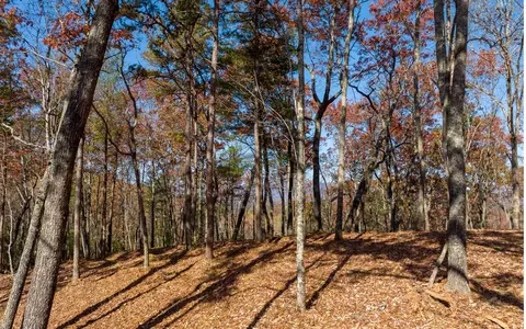 lot41 Preserve Trl, Ellijay, GA 30536