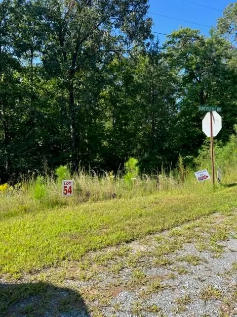 54 Honeysuckle Way, Ellijay, GA 30540