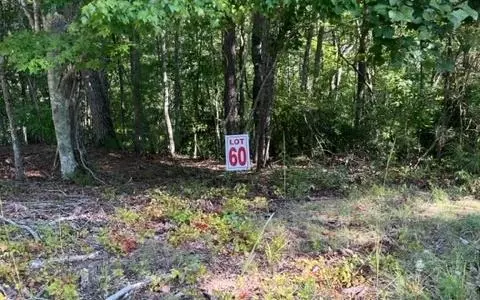 60 Honeysuckle Way, Ellijay, GA 30540