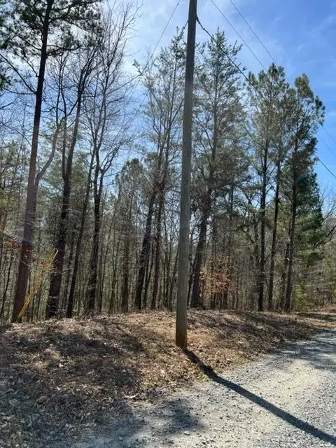 3 Hunter Ridge, Ellijay, GA 30540