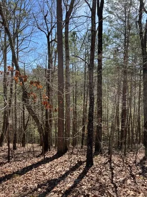 4 Hunter Ridge, Ellijay, GA 30540