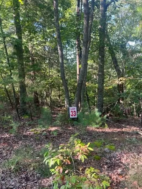 Lt 33 Buck Creek Road, Ellijay, GA 30540