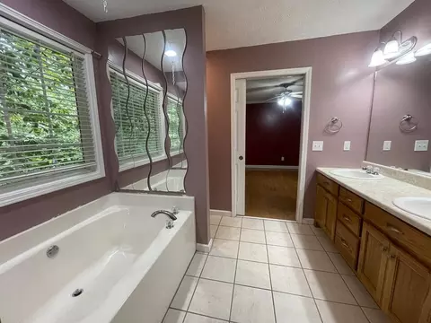 Bath - 14 Rayelee Cir, Jasper, GA 30143 photo 2 of 6
