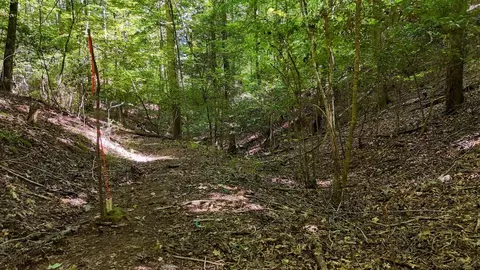Other - 184 Beaver Ridge Rd, Murphy, NC 28906 photo 12 of 15