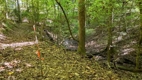 Other - 184 Beaver Ridge Rd, Murphy, NC 28906 photo 14 of 15