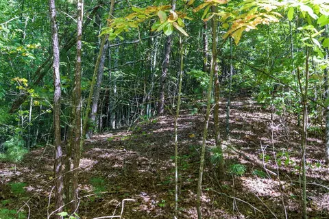 lot46 Lake Appalachia Ac Dr, Murphy, NC 28906 photo 21