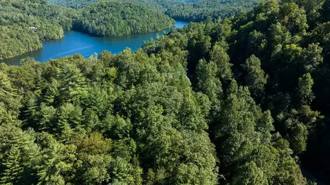 lot46 Lake Appalachia Ac Dr, Murphy, NC 28906 photo 6