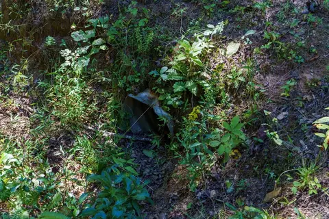 lot46 Lake Appalachia Ac Dr, Murphy, NC 28906 photo 18