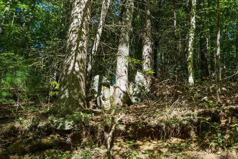 lot46 Lake Appalachia Ac Dr, Murphy, NC 28906 photo 17