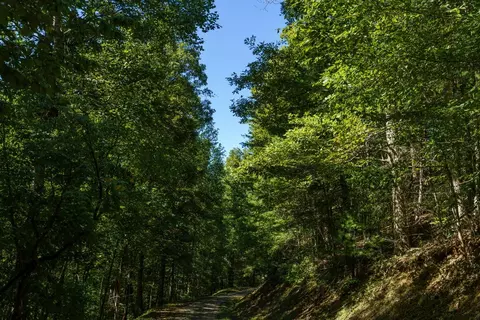 lot46 Lake Appalachia Ac Dr, Murphy, NC 28906 photo 3