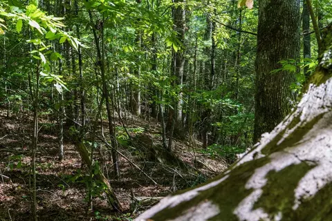 lot46 Lake Appalachia Ac Dr, Murphy, NC 28906 photo 31