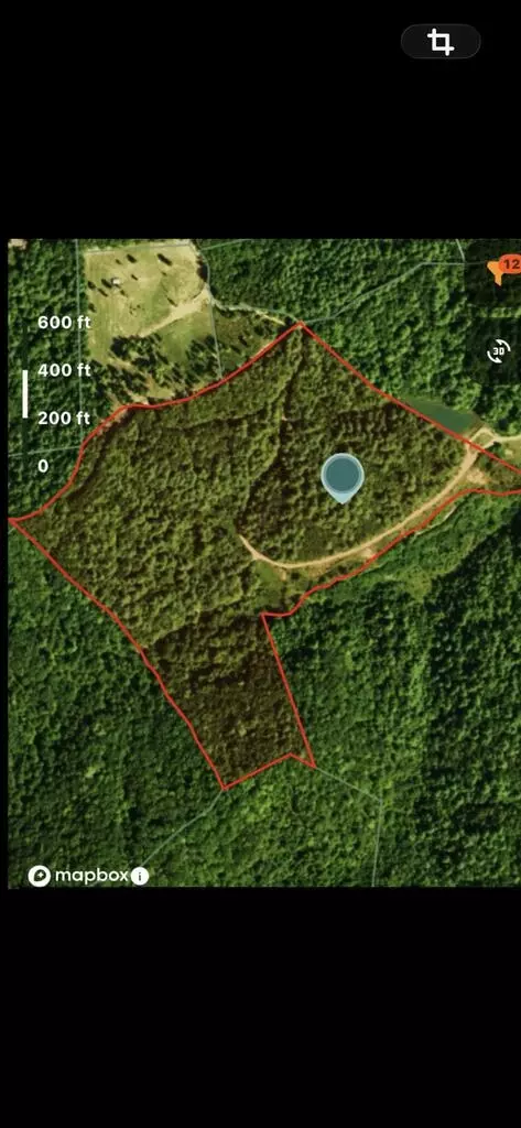 40 Acre Valley Lake Rd, Mineral Bluff, GA 30559