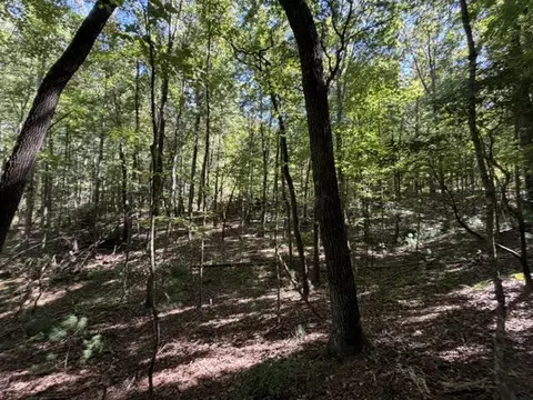 305-433 Seneca Dr, Ellijay, GA 30540