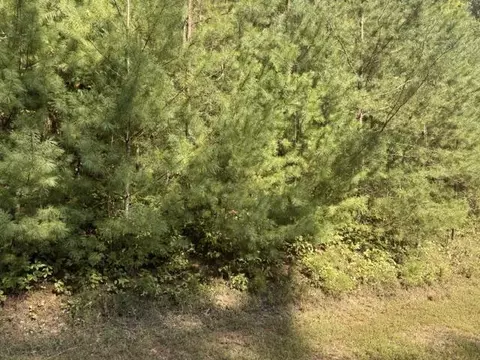 lot224 Rushing Water Dr, Blairsville, GA 30512