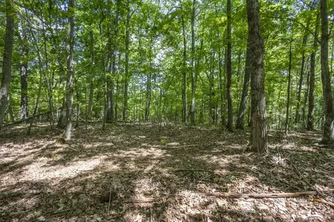 34 Ac Donley Rd, Murphy, NC 28906 photo 16