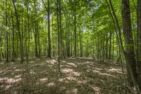 34 Ac Donley Rd, Murphy, NC 28906 photo 15