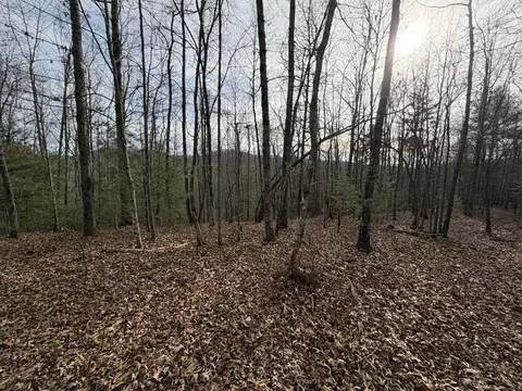 56 6 Ac Cutcane Rd, Mineral Bluff, GA 30559