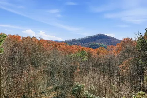 Other - 31 The Kings Ct, Cherry Log, GA 30522 photo 14 of 28