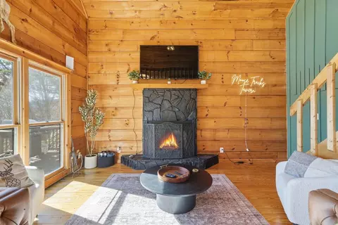 Living - 31 The Kings Ct, Cherry Log, GA 30522 photo 6 of 7