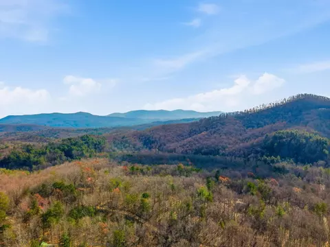 Other - 31 The Kings Ct, Cherry Log, GA 30522 photo 13 of 28