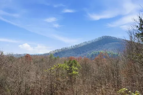 Other - 31 The Kings Ct, Cherry Log, GA 30522 photo 21 of 28