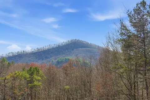 Other - 31 The Kings Ct, Cherry Log, GA 30522 photo 26 of 28