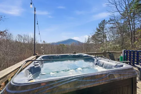 Other - 31 The Kings Ct, Cherry Log, GA 30522 photo 5 of 28