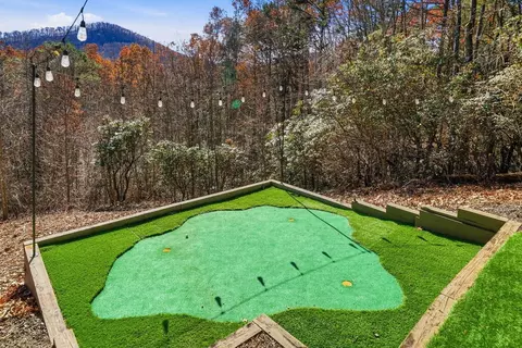 Exterior - 31 The Kings Ct, Cherry Log, GA 30522 photo 4 of 13