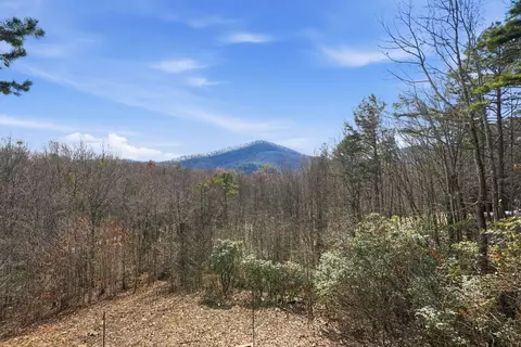 Other - 31 The Kings Ct, Cherry Log, GA 30522 photo 11 of 28