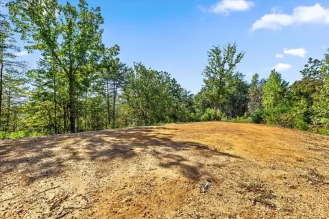 132 Turvey Nichols Rd, Cisco, GA 30708 photo 19