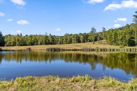 132 Turvey Nichols Rd, Cisco, GA 30708 photo 3