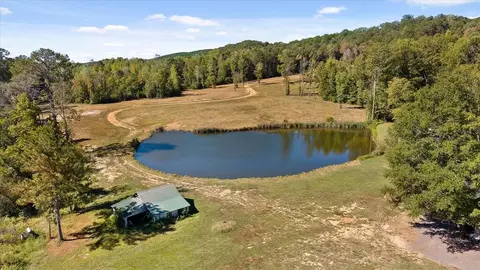 132 Turvey Nichols Rd, Cisco, GA 30708 photo 9