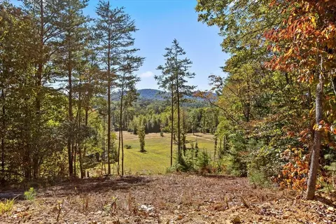 132 Turvey Nichols Rd, Cisco, GA 30708 photo 2