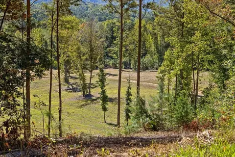 132 Turvey Nichols Rd, Cisco, GA 30708 photo 17