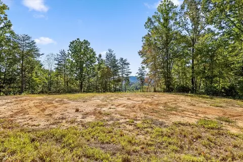 132 Turvey Nichols Rd, Cisco, GA 30708 photo 15