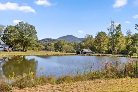 132 Turvey Nichols Rd, Cisco, GA 30708 photo 6